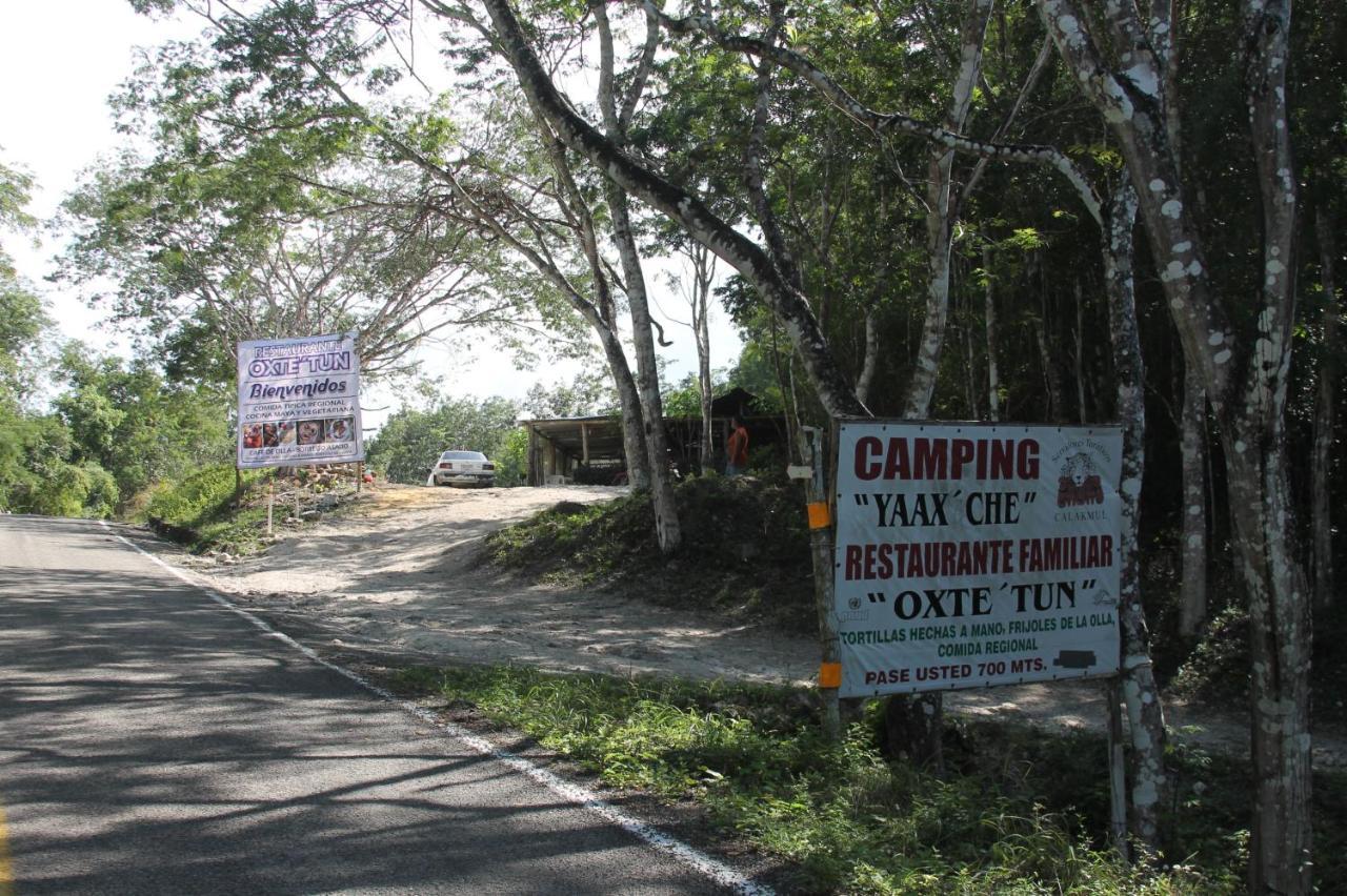 Campamento Yaax Che en Calakmul Conhuas Bagian luar foto