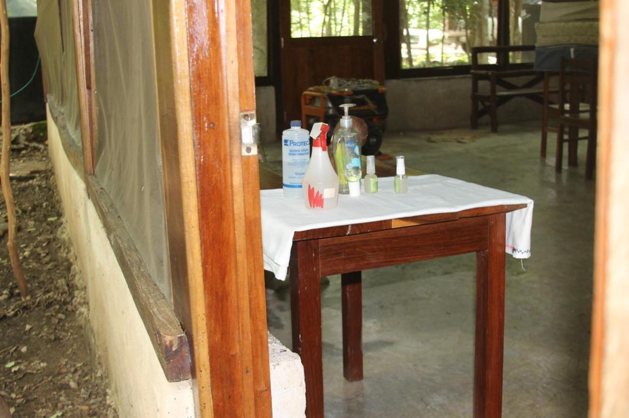 Campamento Yaax Che en Calakmul Conhuas Bagian luar foto