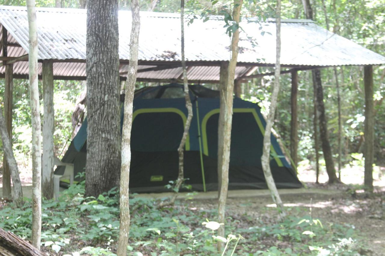 Campamento Yaax Che en Calakmul Conhuas Bagian luar foto