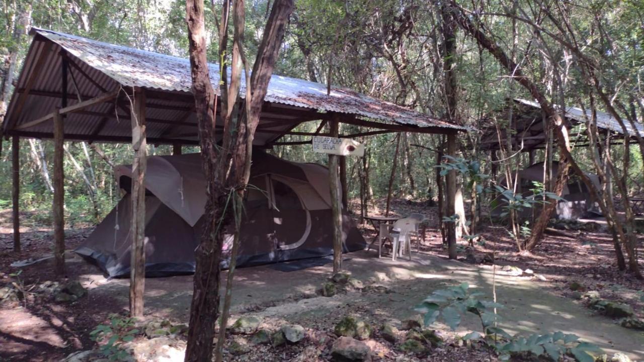 Campamento Yaax Che en Calakmul Conhuas Bagian luar foto