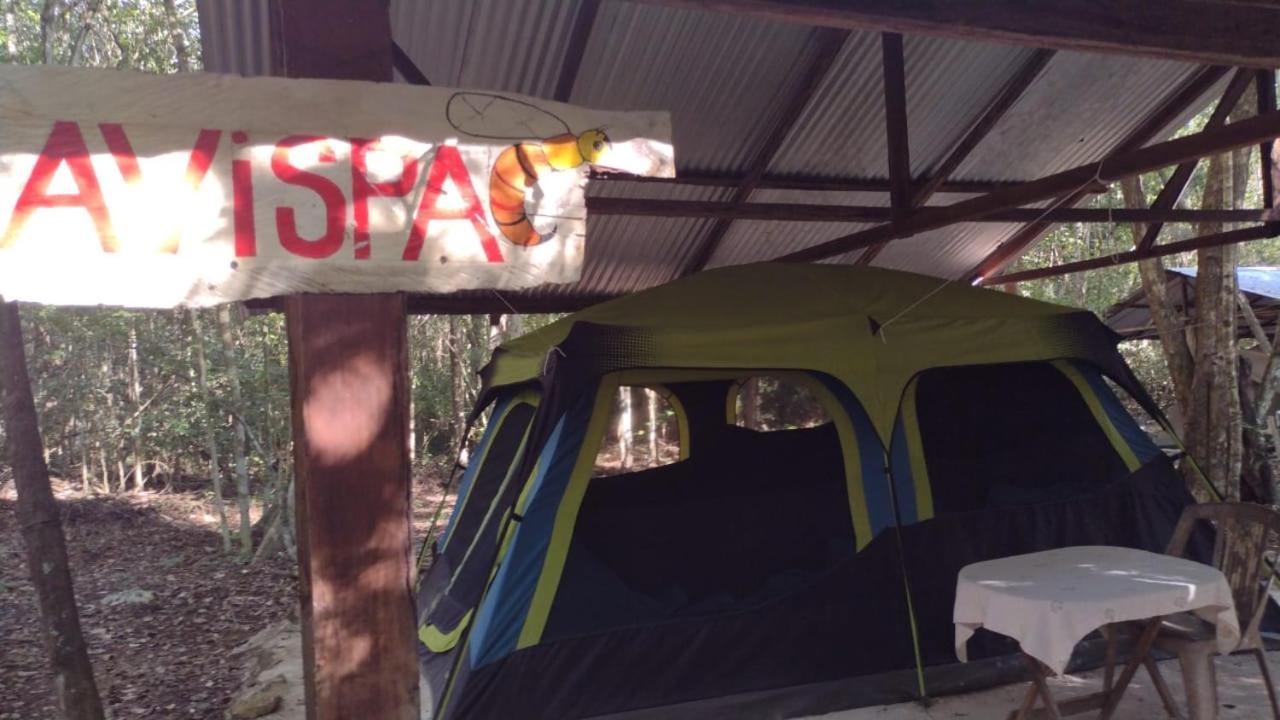 Campamento Yaax Che en Calakmul Conhuas Bagian luar foto
