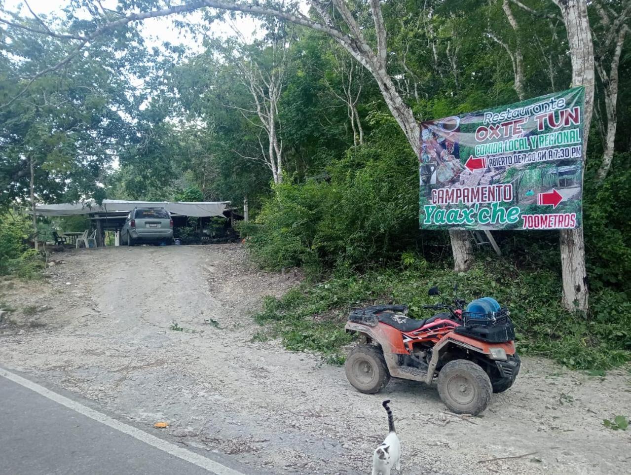 Campamento Yaax Che en Calakmul Conhuas Bagian luar foto