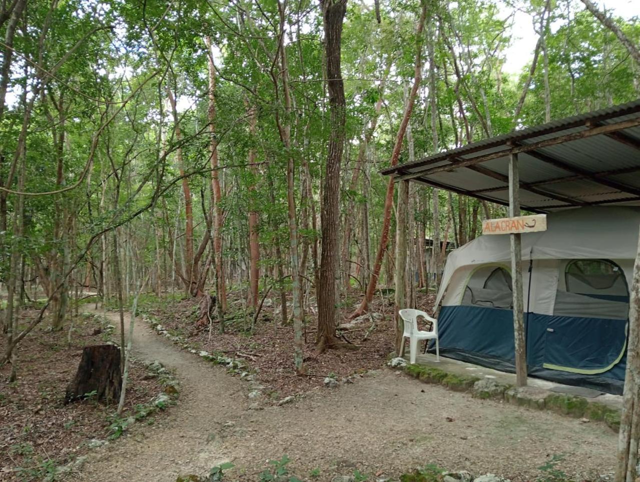 Campamento Yaax Che en Calakmul Conhuas Bagian luar foto