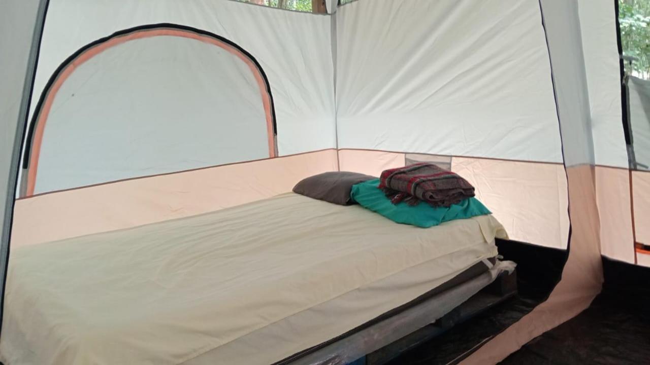 Campamento Yaax Che en Calakmul Conhuas Ruang foto