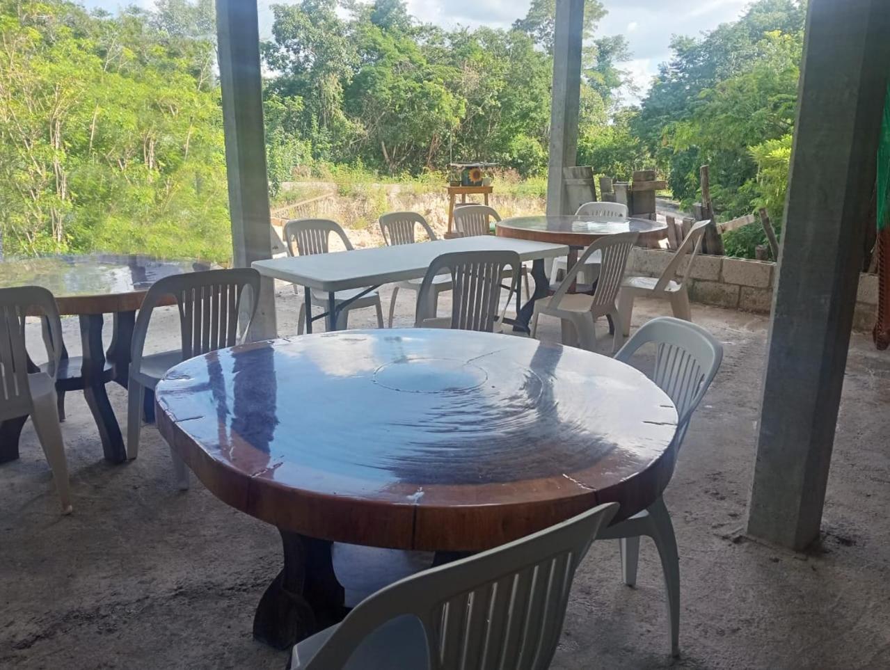 Campamento Yaax Che en Calakmul Conhuas Bagian luar foto