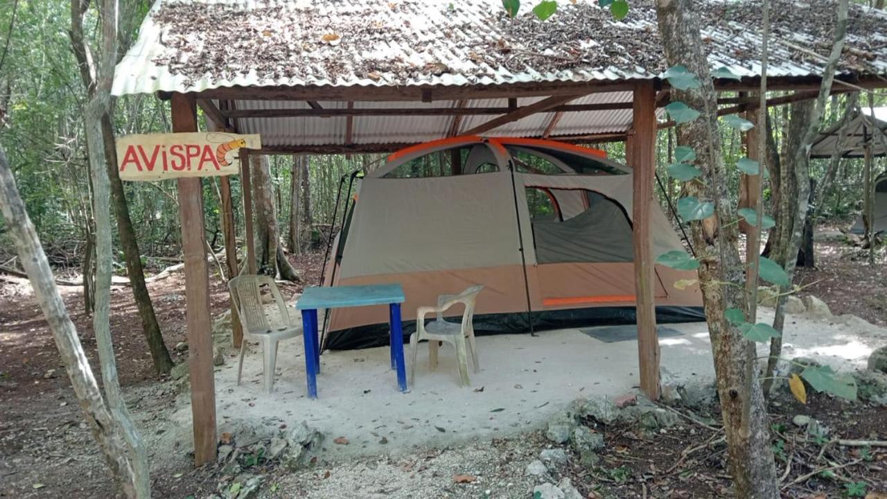 Campamento Yaax Che en Calakmul Conhuas Ruang foto