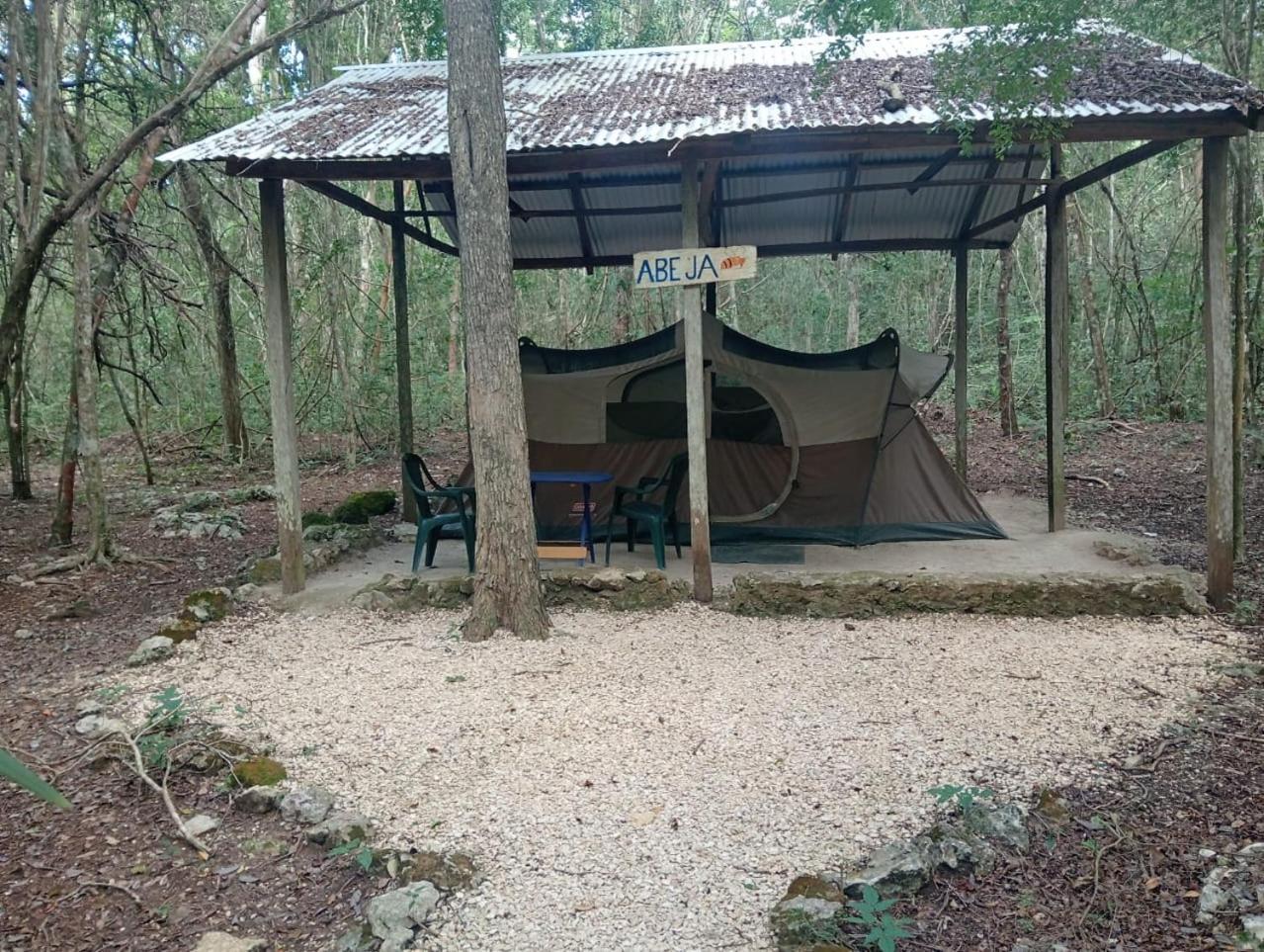 Campamento Yaax Che en Calakmul Conhuas Bagian luar foto
