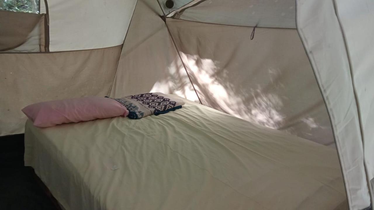 Campamento Yaax Che en Calakmul Conhuas Ruang foto