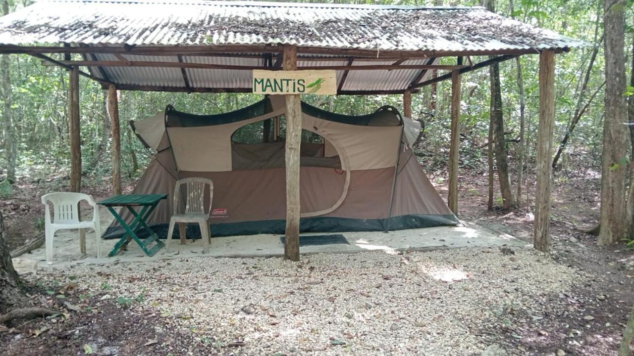 Campamento Yaax Che en Calakmul Conhuas Ruang foto