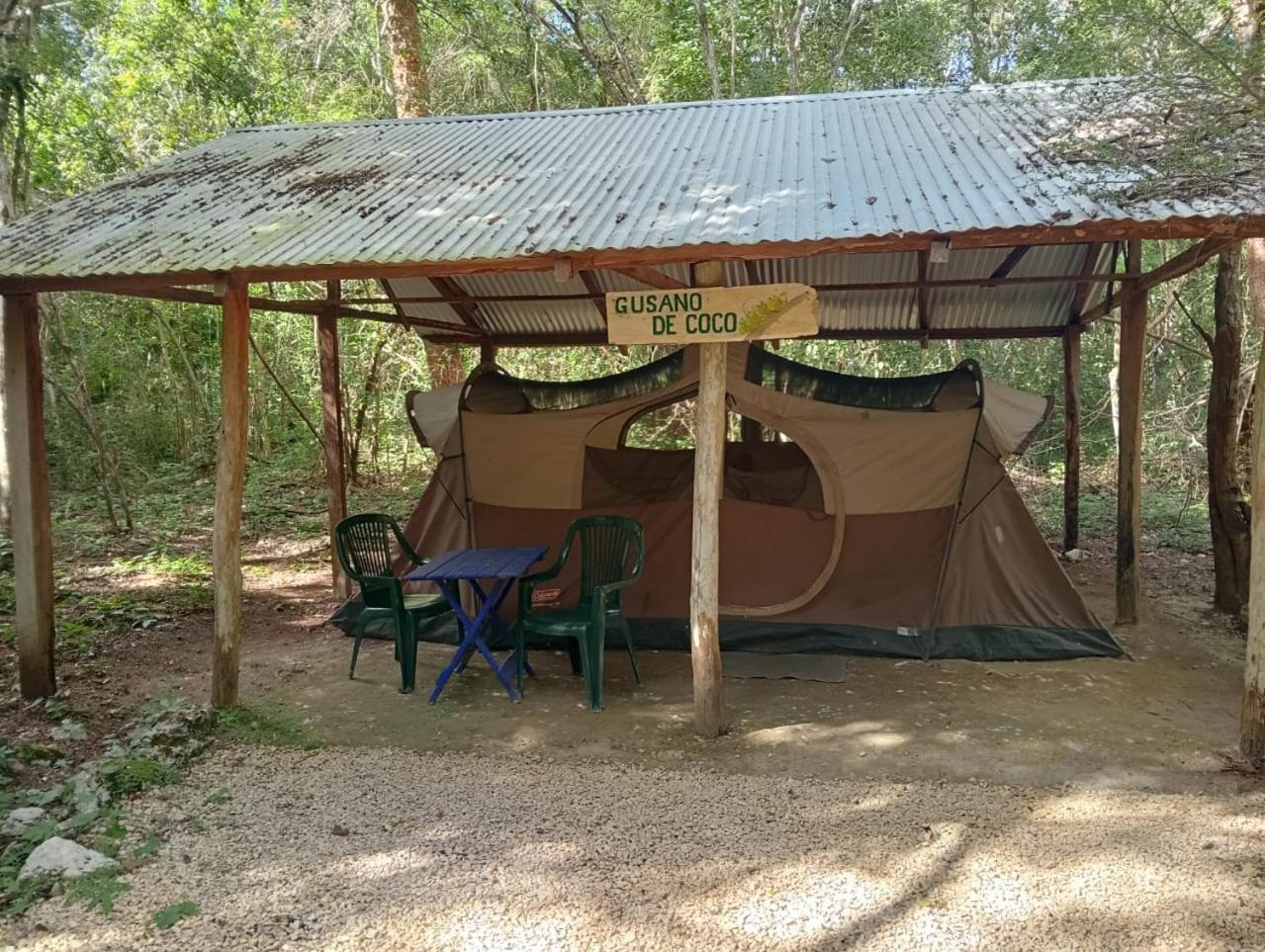Campamento Yaax Che en Calakmul Conhuas Bagian luar foto