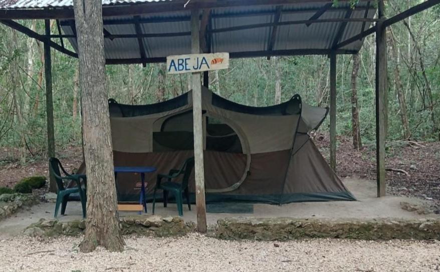 Campamento Yaax Che en Calakmul Conhuas Bagian luar foto
