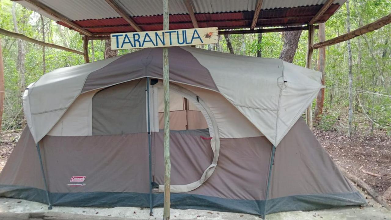 Campamento Yaax Che en Calakmul Conhuas Bagian luar foto