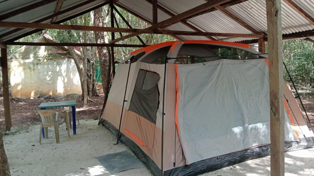 Campamento Yaax Che en Calakmul Conhuas Bagian luar foto