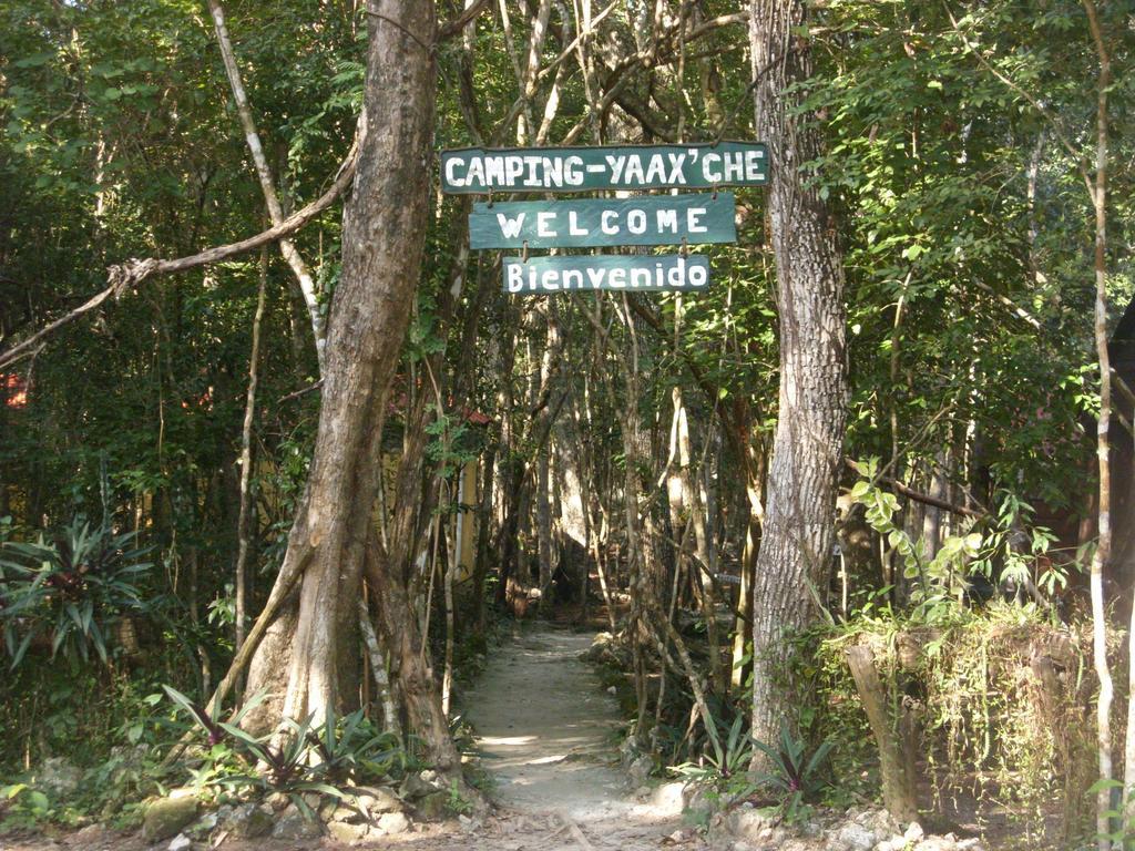 Campamento Yaax Che en Calakmul Conhuas Ruang foto