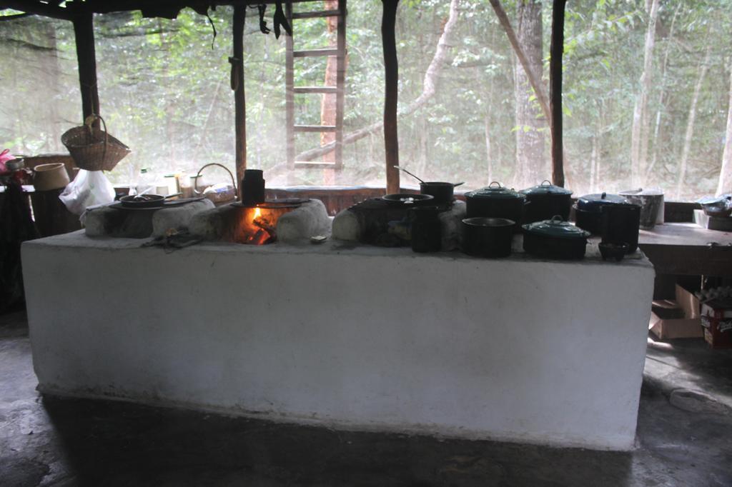 Campamento Yaax Che en Calakmul Conhuas Bagian luar foto