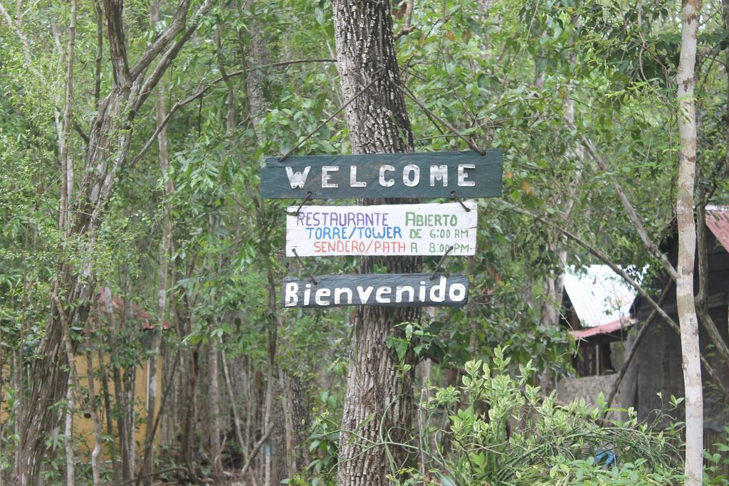 Campamento Yaax Che en Calakmul Conhuas Bagian luar foto
