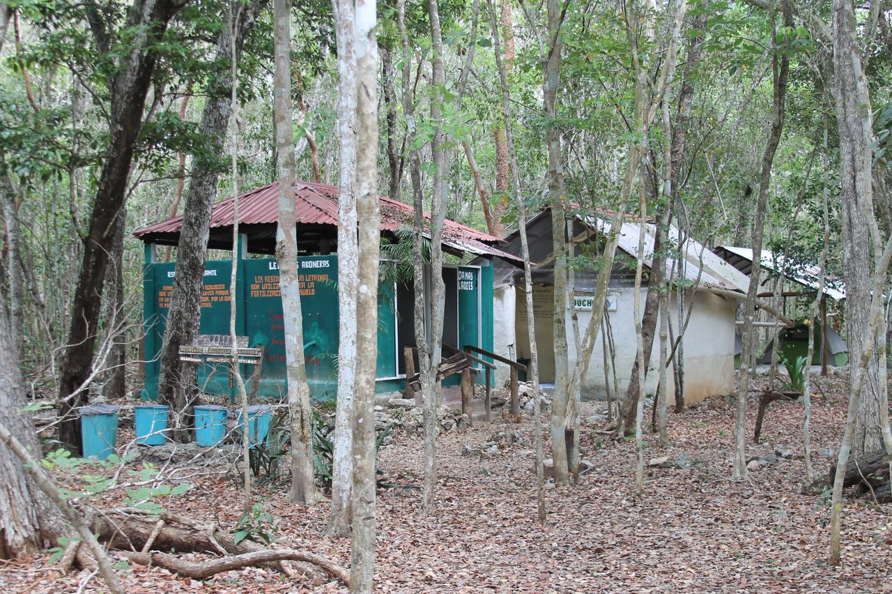 Campamento Yaax Che en Calakmul Conhuas Bagian luar foto